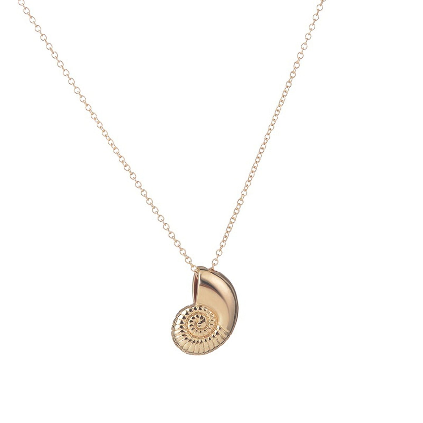 Silver or Gold Plated Fossil Ammonite Shell Necklace