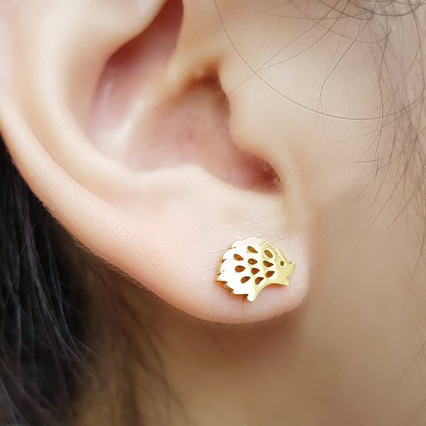 Hedgehog Stud Earrings